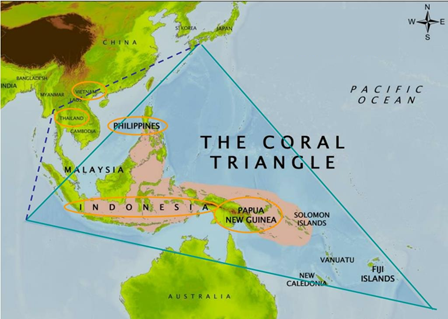 Coral Triangle